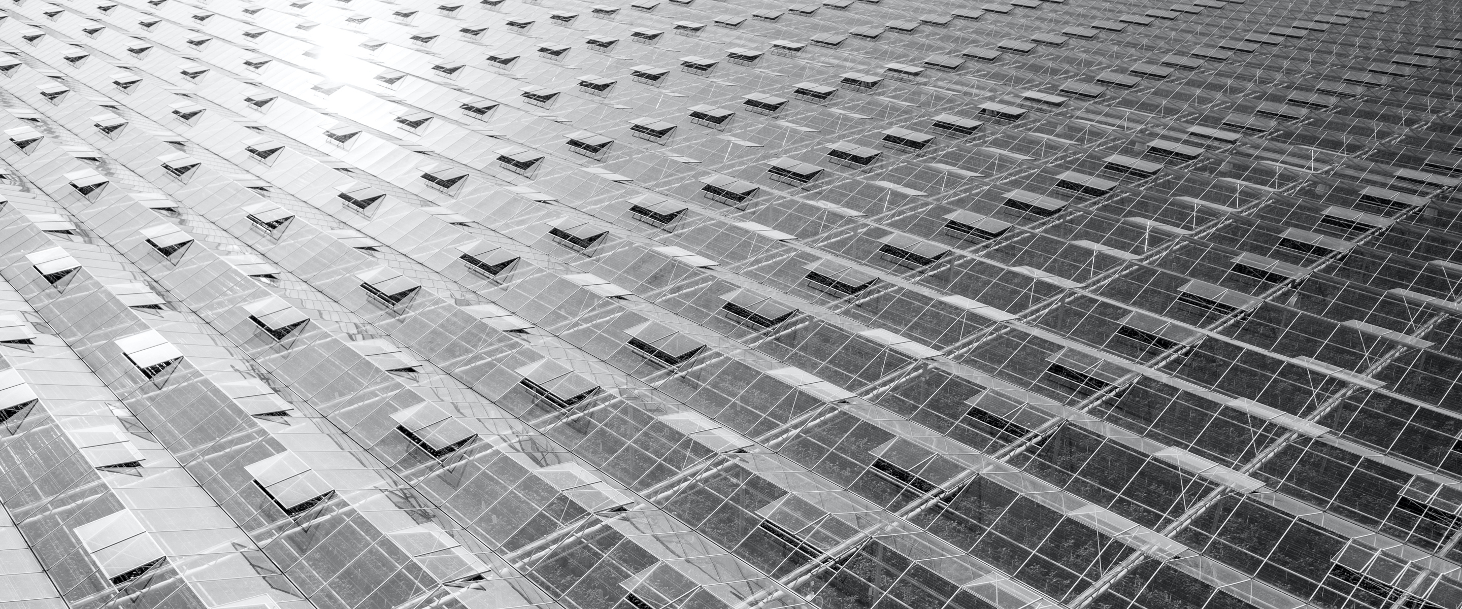 Overview from above glass greenhouses